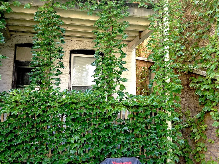 3308 N Lakewood Ave #1 — Photo 11