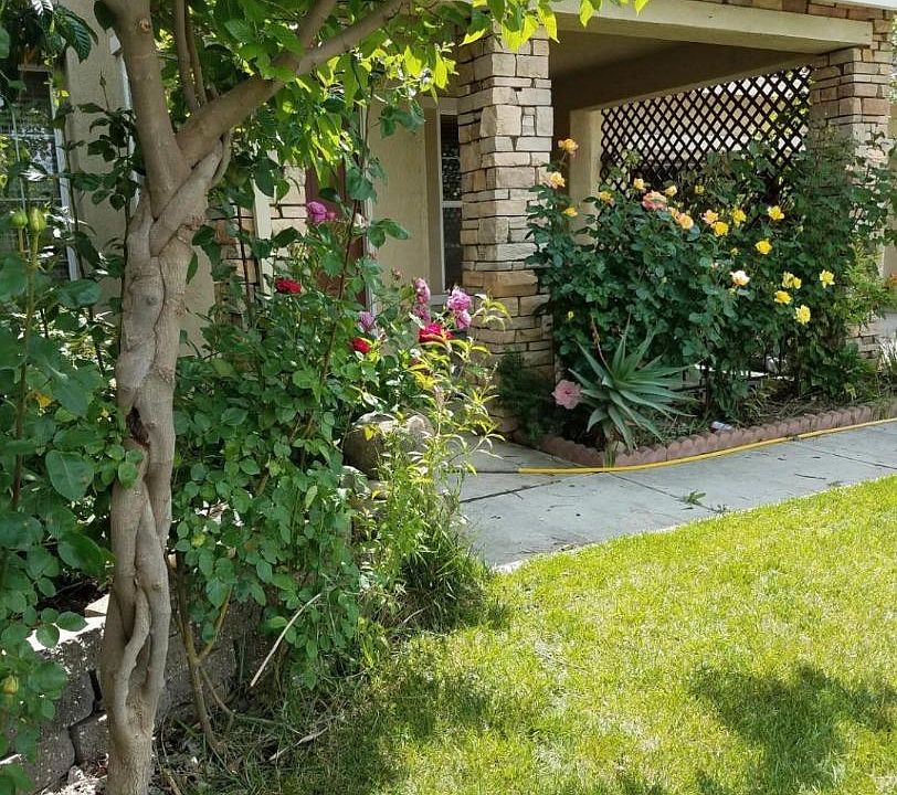 2nd image of 1881 Lemon Ave