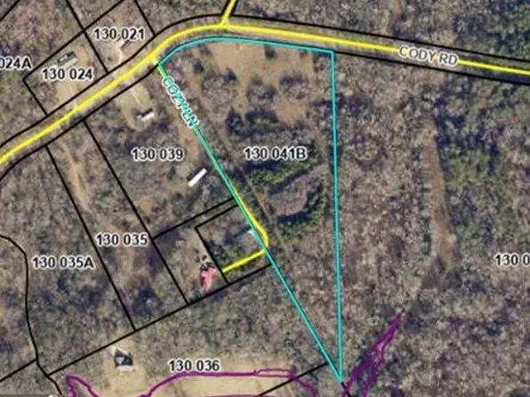 Cody Rd, Mount Airy, GA 30563