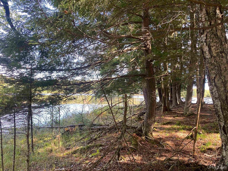 13 & 14 Grace Lake Rd, Watersmeet, MI 49969 Zillow