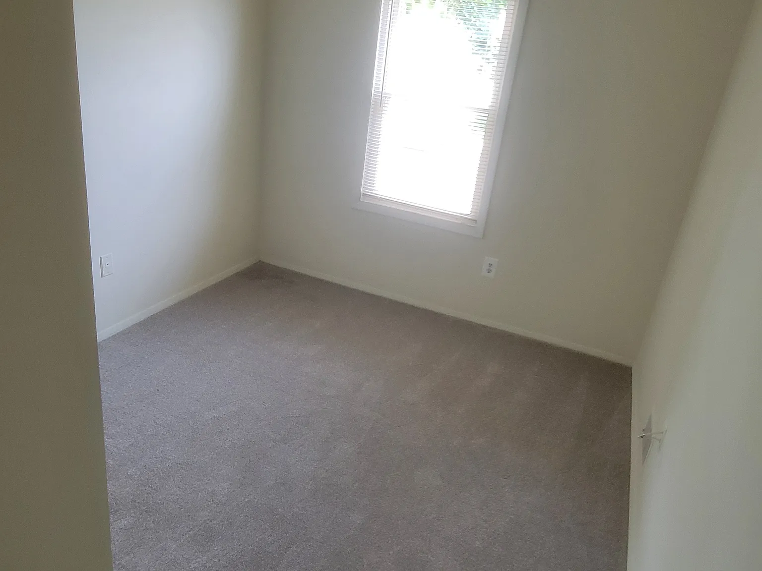 5 bed, 3.5 bath, 1620 sqft, $3,750 — Photo 3