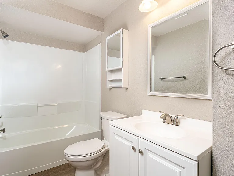 Lower level bathroom