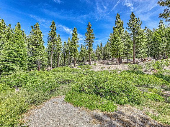 4th image of 16145 Martis Peak Rd