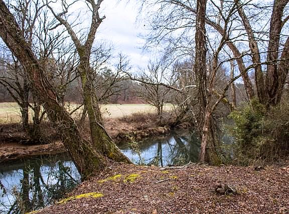 4th image of 00 Little Ranger Rd
