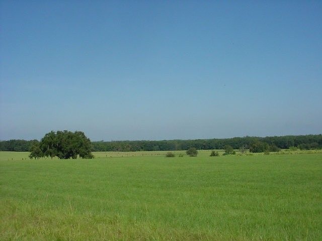 1st image of Vacant