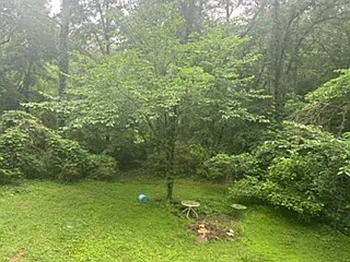 11 Raintree Dr SE — Photo 6