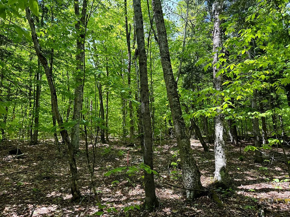 1st image of 1.2 Cobble Creek Rd #2
