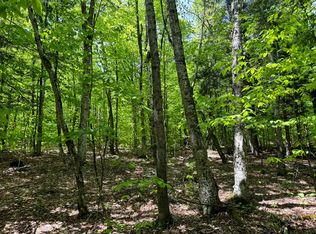 1.3 Cobble Creek Rd #3, North Creek, NY 12853