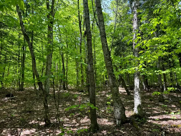 1.2 Cobble Creek Rd #2, North Creek, NY 12853