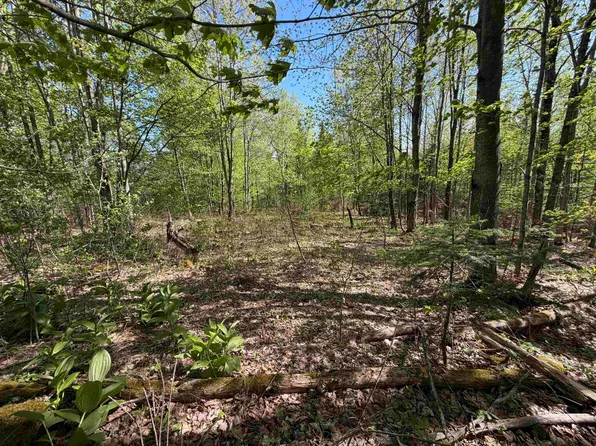 550 Petit Road, Coventry, VT 05825
