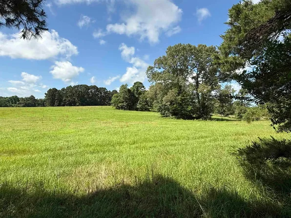 County Road 4194 Trl #6, Henderson, TX 75654