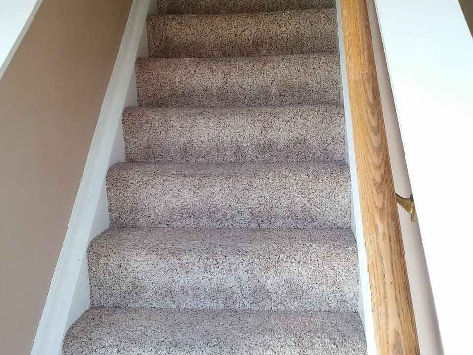 New carpet througout