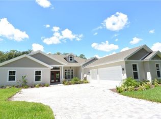 921 Goldie Park Ln, Lutz, FL 33548