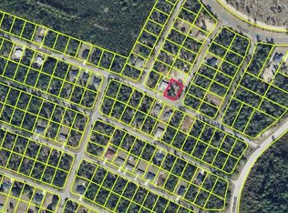0 Malauka Ln LOT 1, Ocklawaha, FL 32179