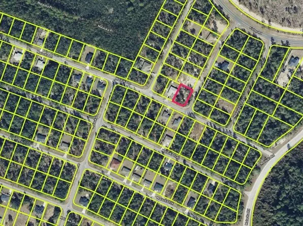 0 Malauka Ln Lot 1, Ocklawaha, FL 32179