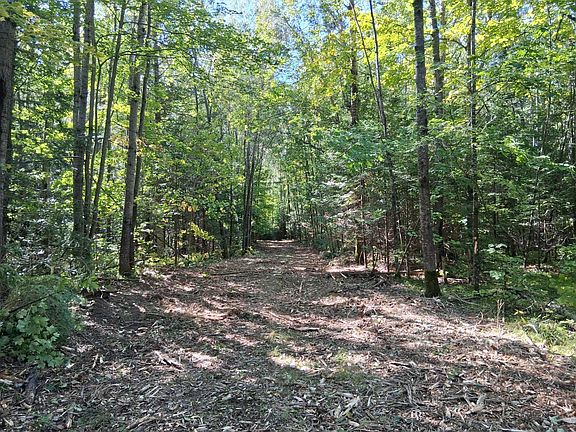 5th image of 12 National Trail Star Lake Rd