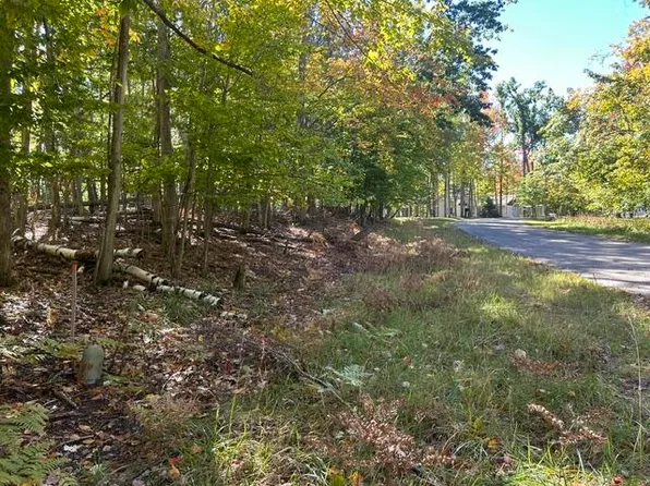 Vl 227 229 Woodcock Ct, Gaylord, MI 49735