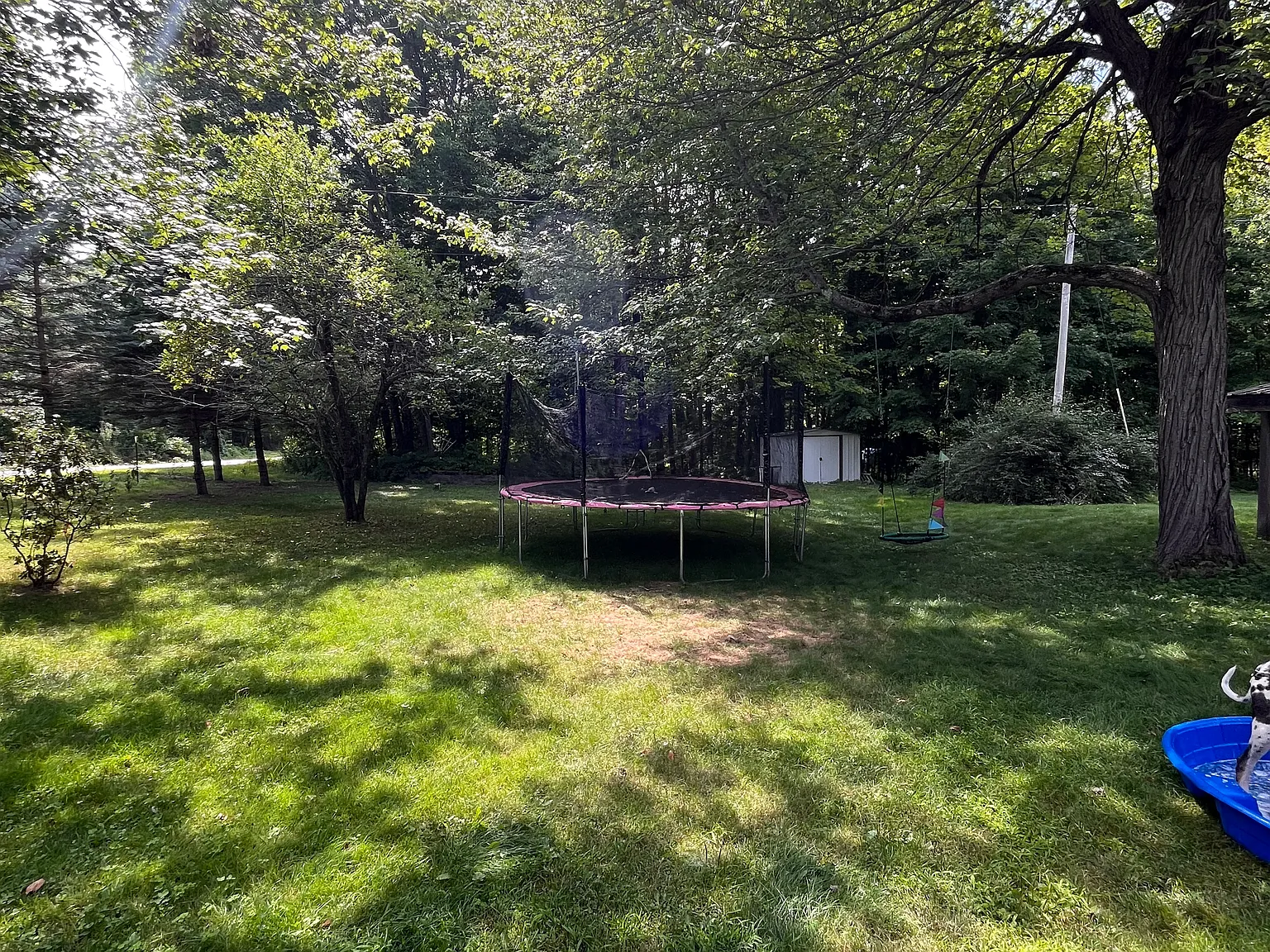 3 bed, 1660 sqft, $2,800 — Photo 4