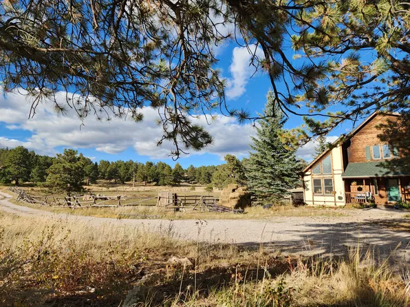 1198 Bald Mountain Dr #A, Livermore, CO 80536