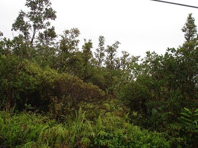 1st image of Lehua St Lot 6910