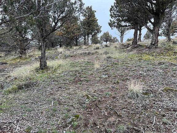 2nd image of 9 Saddlehorn Rd #76