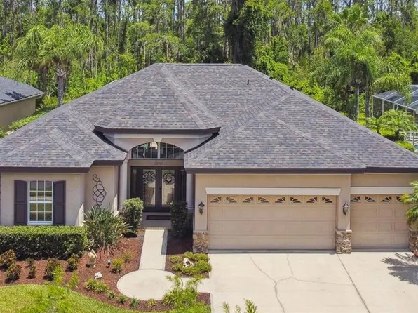 23305 Gracewood Cir, Land O Lakes, FL 34639