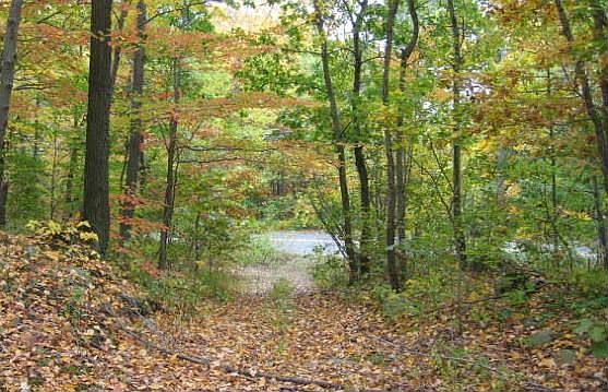 Second Wooded Lot