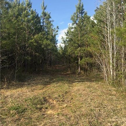 2nd image of 0 Loman Rd Lot 19