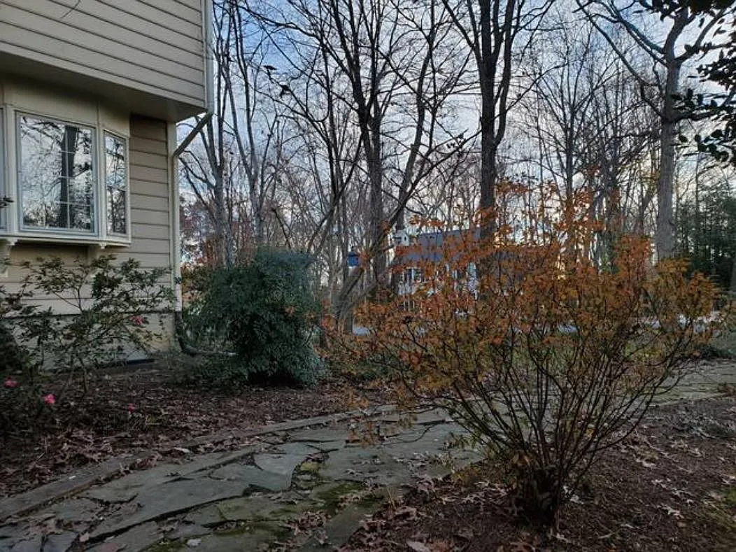 11201 Bradbury Ln — Photo 4