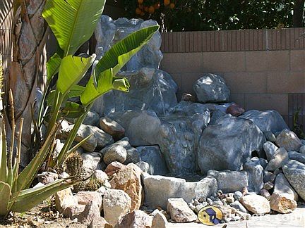 Backyard Water Feature