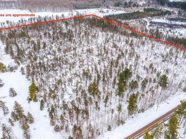 38.92 Acres COUNTY ROAD L, Athens, WI 54411