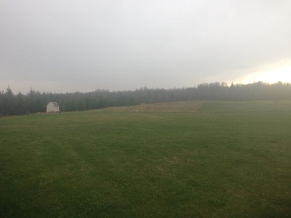 view of grassy backyard