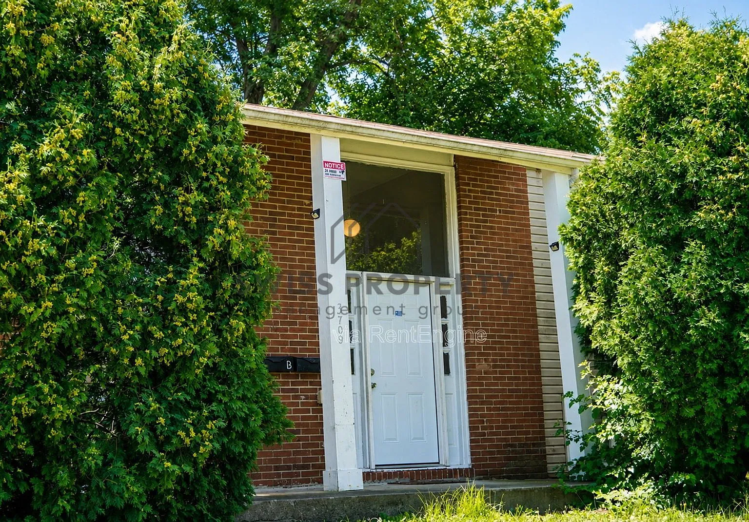 2 bed, 1.0 bath, 864 sqft, $975 — Photo 3