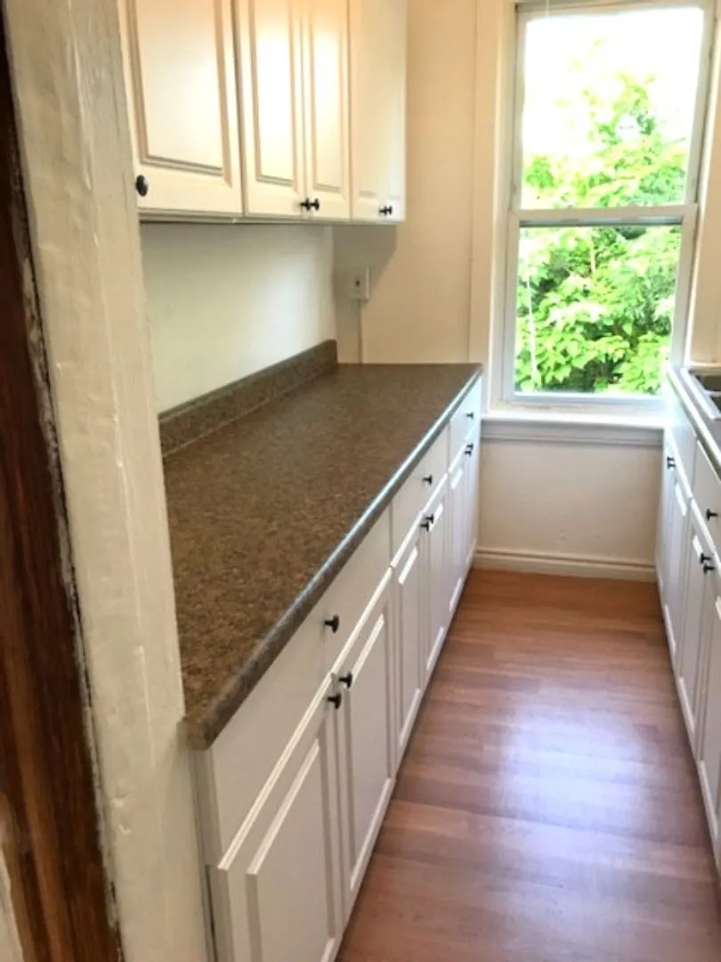4 Osborn Street — Photo 2