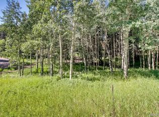 6753 Snowshoe Trl, Evergreen, CO 80439