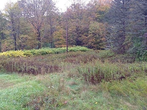 5th image of 198 Old Route 17