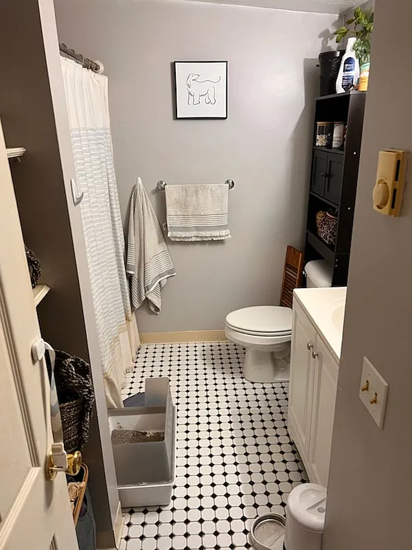 1 bed, 800 sqft, $1,595 — Photo 3
