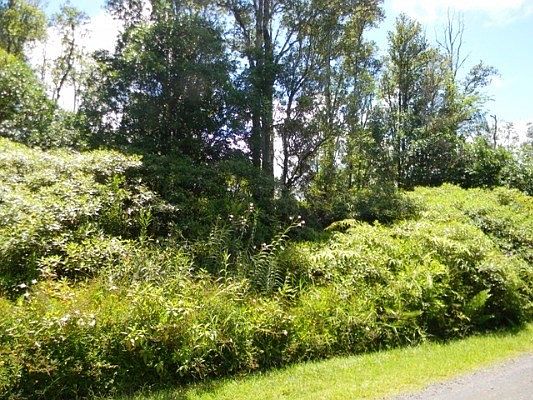 1st image of Sugarcane Ln Lot 62