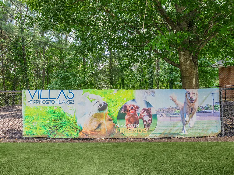 Villas at Princeton Lakes — Photo 3