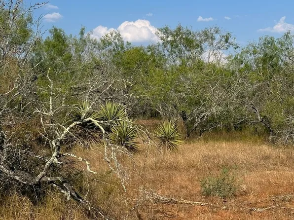 5986 Fm 1107 Unit B LOT 3, Stockdale, TX 78160