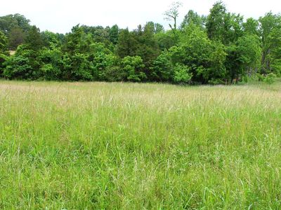 645 Calvert Rd, Adolphus, KY, 42120