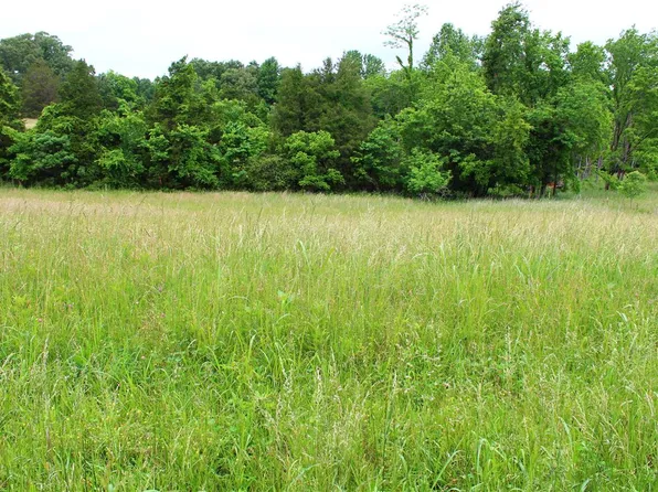 695 Calvert Rd, Adolphus, KY 42120