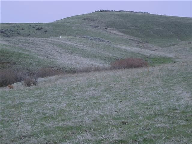 2nd image of 9 Webster Ln
