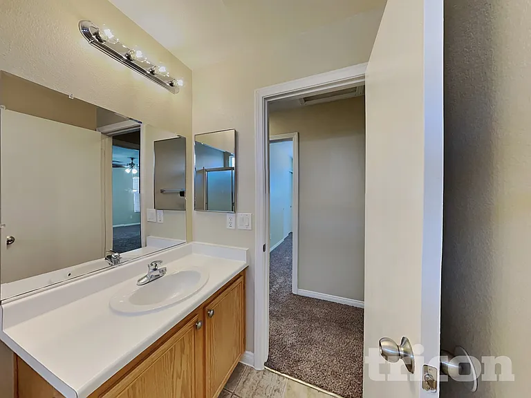 3968 Spruce Fern Ln — Photo 11