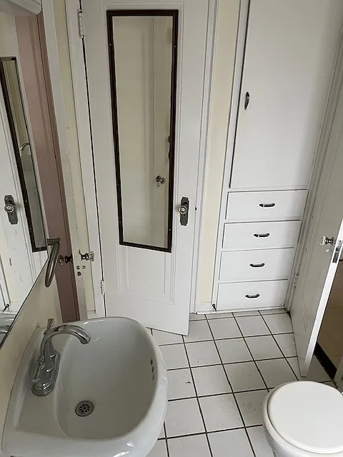 Bathroom closets and storage