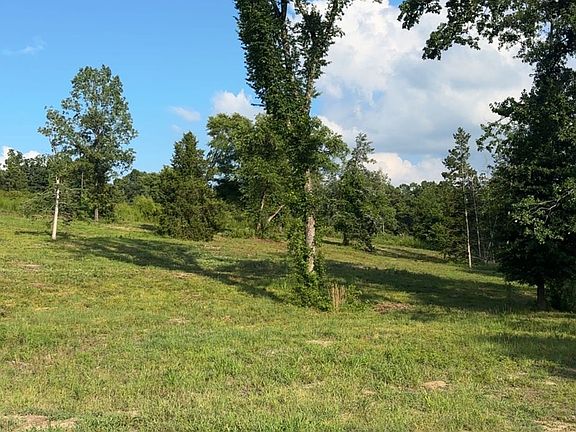Img 4523