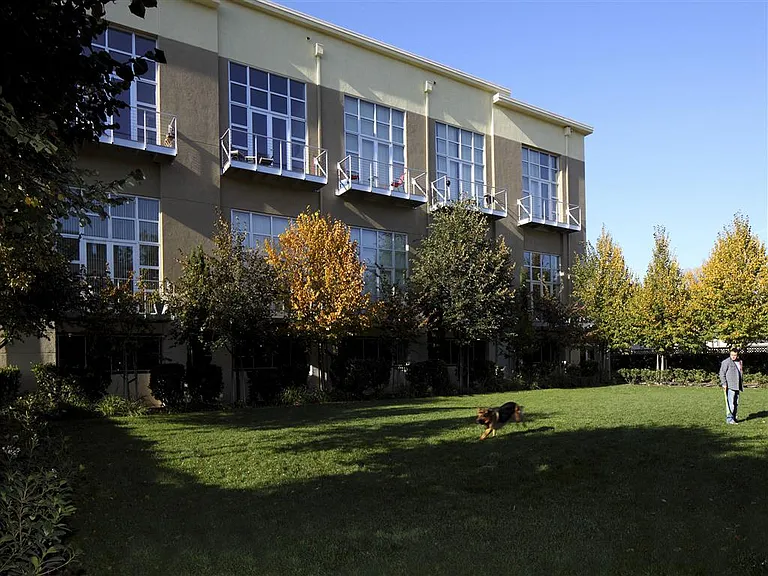 Museum Park — Photo 15