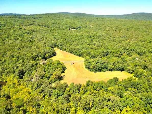 2037 Riverbend Dr, Doe Run, MO 63637