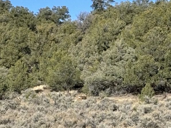 Talavera Ln UNIT 4, Tierra Amarilla, NM 87575