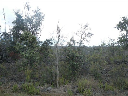 1st image of Leilani Pkwy Lot 25